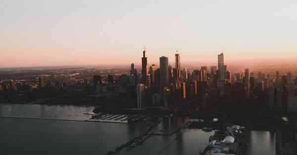 外国语单招大数据的行业文章