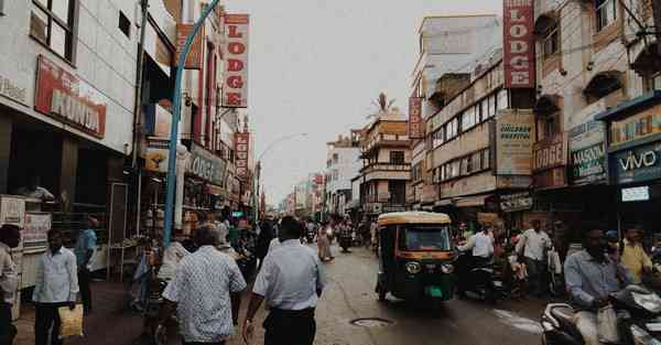 外国语单招大数据的行业文章