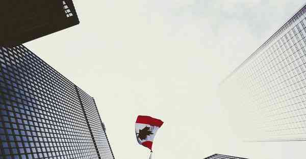 外国语单招大数据的行业文章