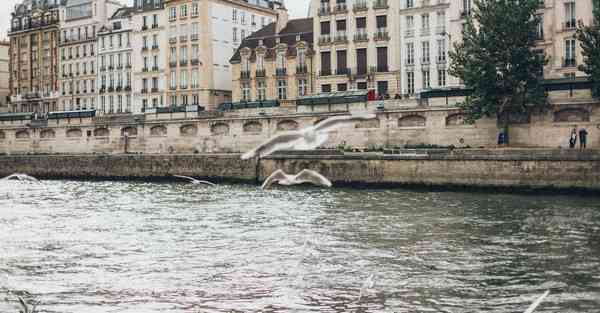 智能服务机器人的应用领域