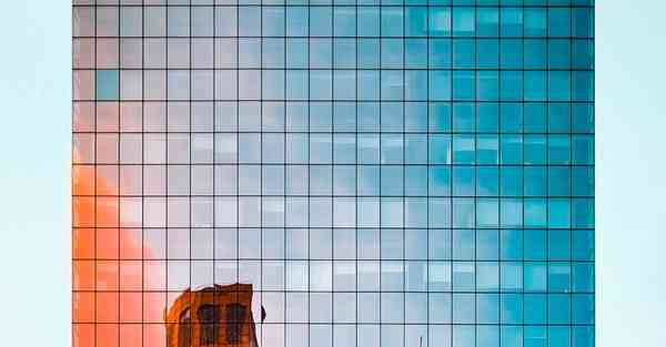 大数据养猪行业