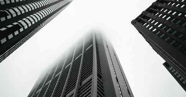 外国语单招大数据的行业文章