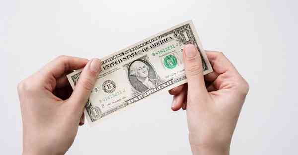 全自动智能宠物机器人 宠物机器人COZMO