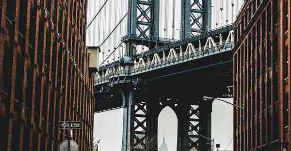 外国语单招大数据的行业文章