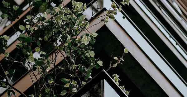 电力大数据优势