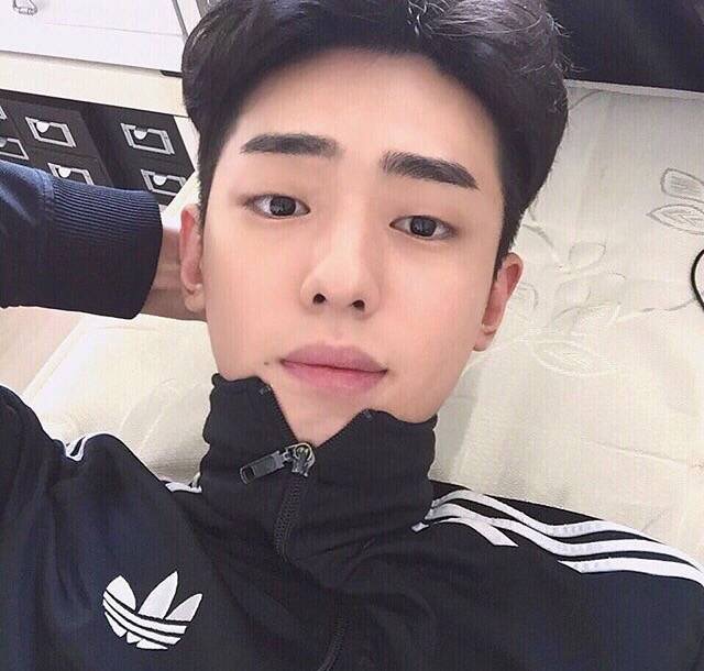 倪启希彪