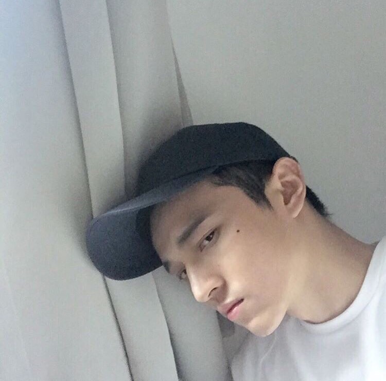 支珍克楠