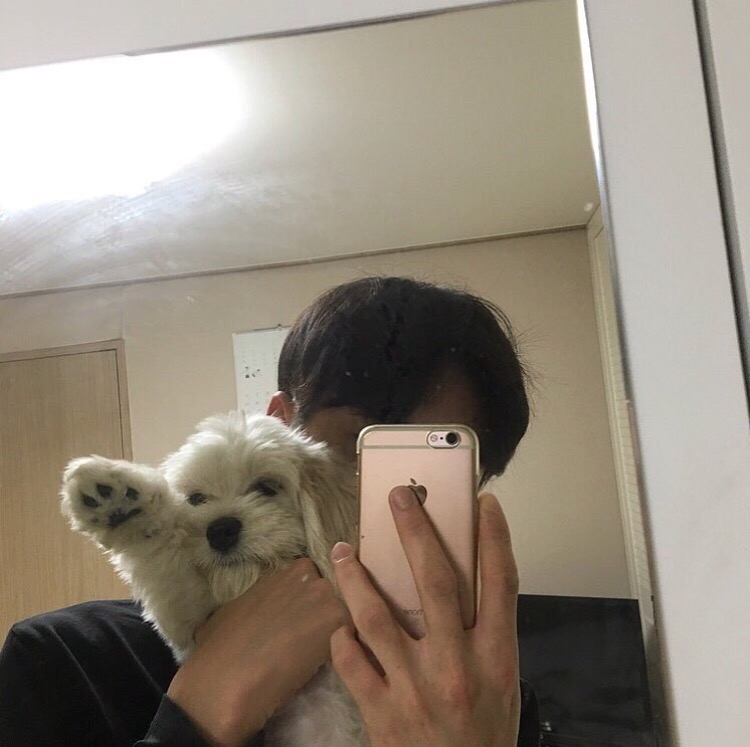 元梅海之