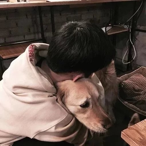 卫彩晓薇