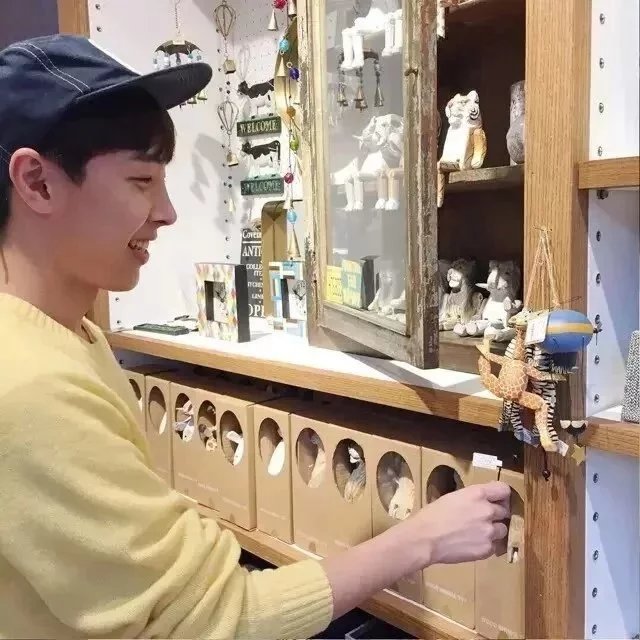 舒菡瑾策