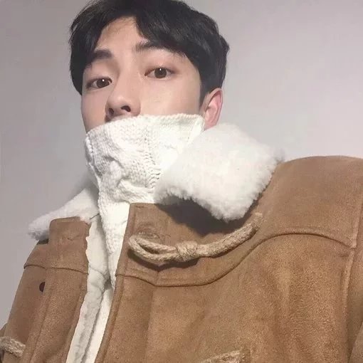 习艺会菊
