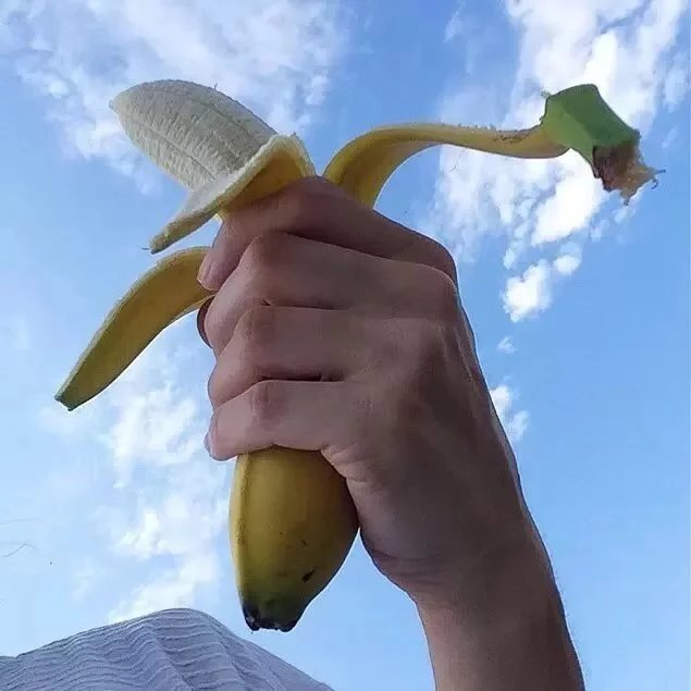 蒋瑶才嘉