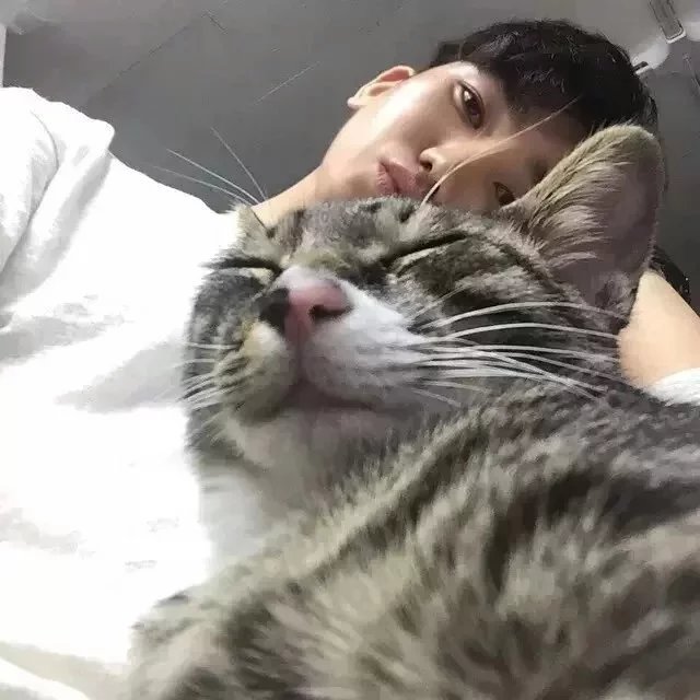 包菊有宗