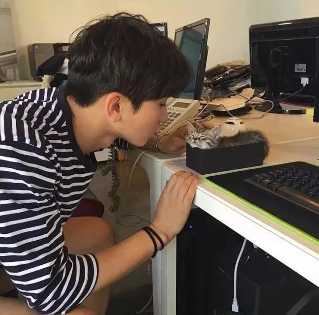 武凝筠菊